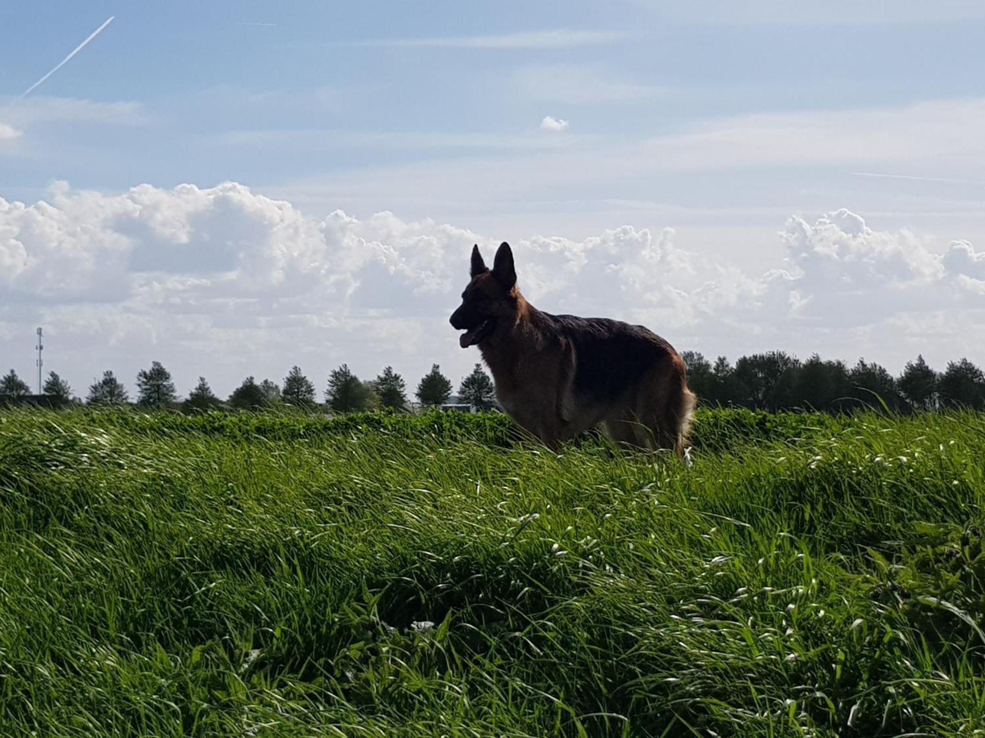 Vakantiehuis In Zeeland Sint Annaland Exteriér fotografie
