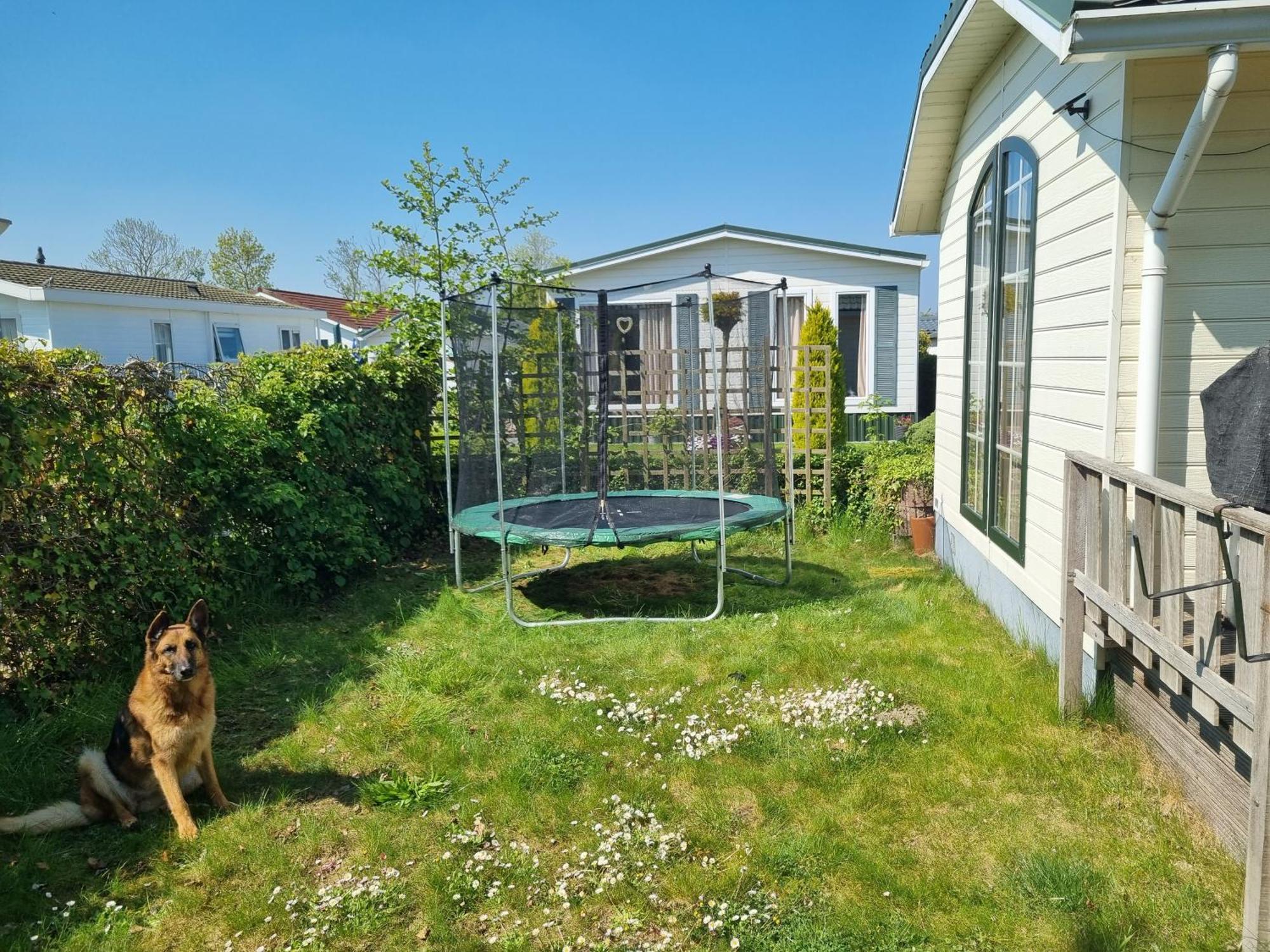 Vakantiehuis In Zeeland Sint Annaland Pokoj fotografie